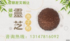 保健食品批文轉(zhuǎn)讓預訂-破壁靈芝孢子粉-增強免疫